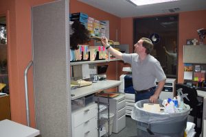 Professional Cleaning Service Tucson
